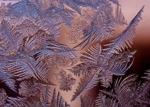 Frost_patterns_2